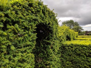 Balsham Manor Maze