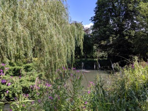 Balsham Manor Maze