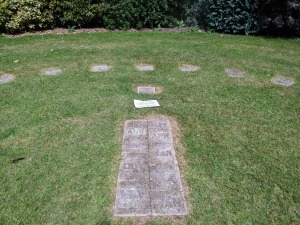 Balsham Manor Maze