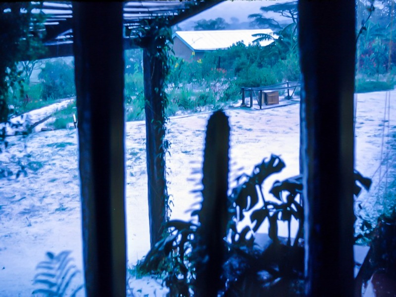 House and garden at Chebororwa in hail