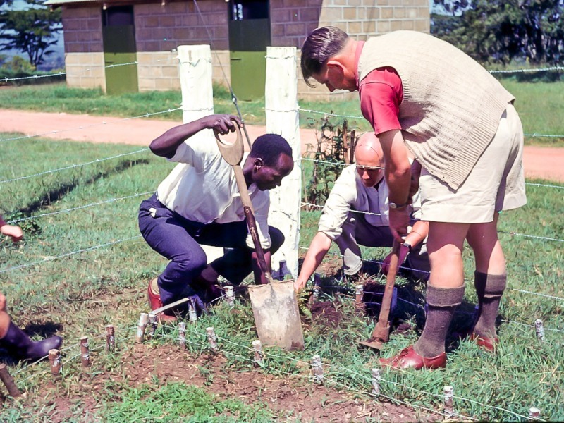 Tree planting