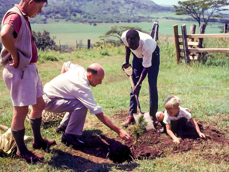 Tree planting