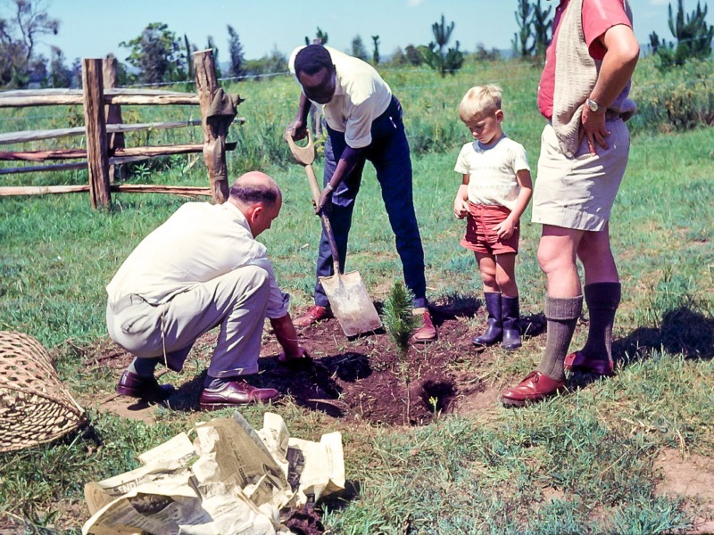 Tree planting at Chebororwa, Mike and Peter 1963