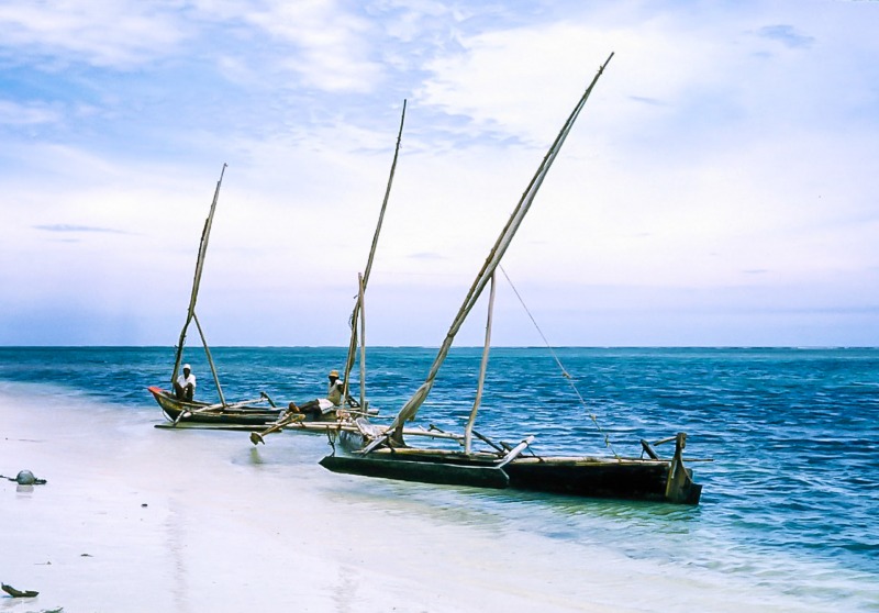 Fishing boats