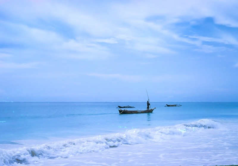 Fishing boats