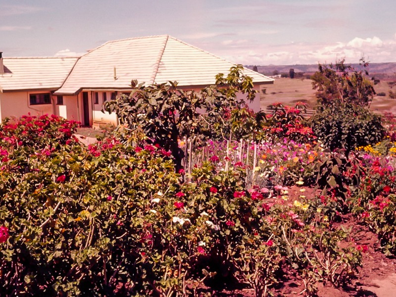 Vegetable patch at Chebororwa