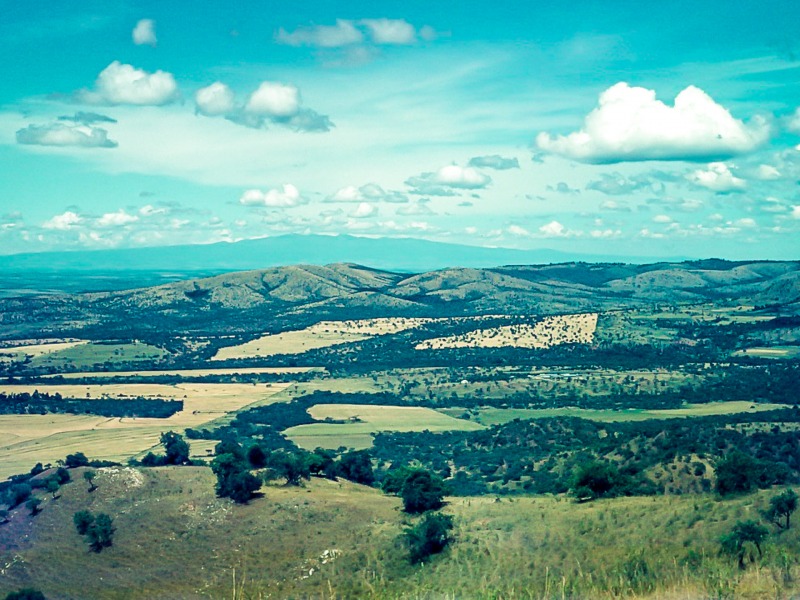 Chebororwa farm