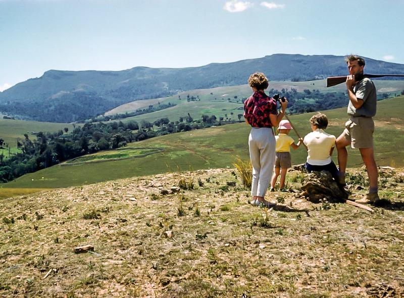 Flat top, Chebororwa