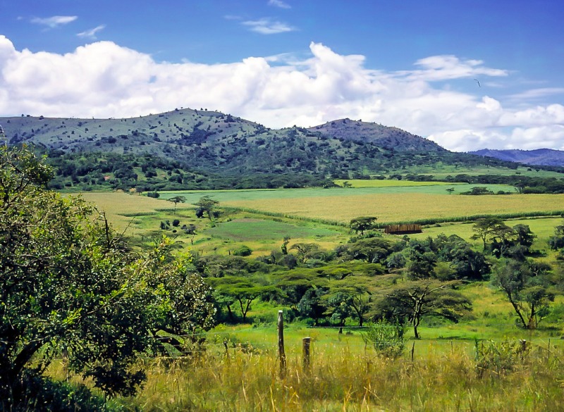 Chebororwa Farm