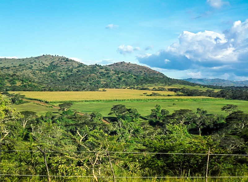 Chebororwa farm