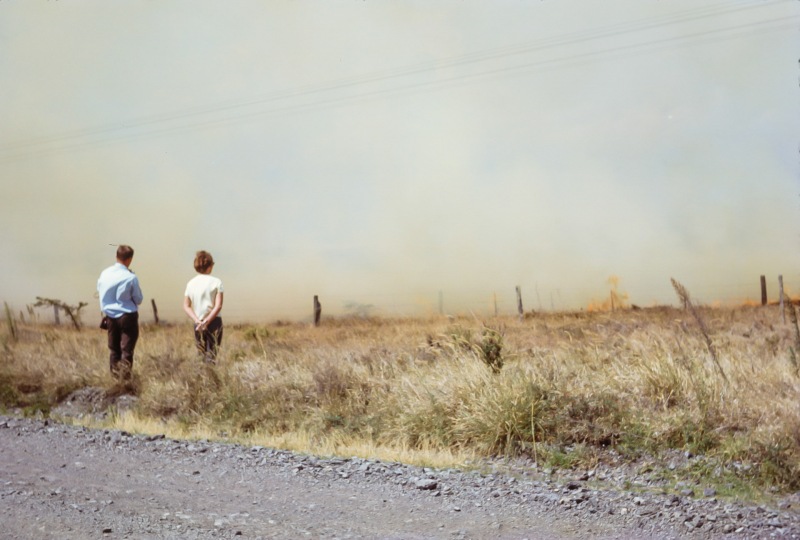 Watching a grass fire