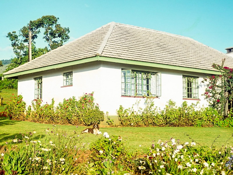 House and garden at Chebororwa in hail