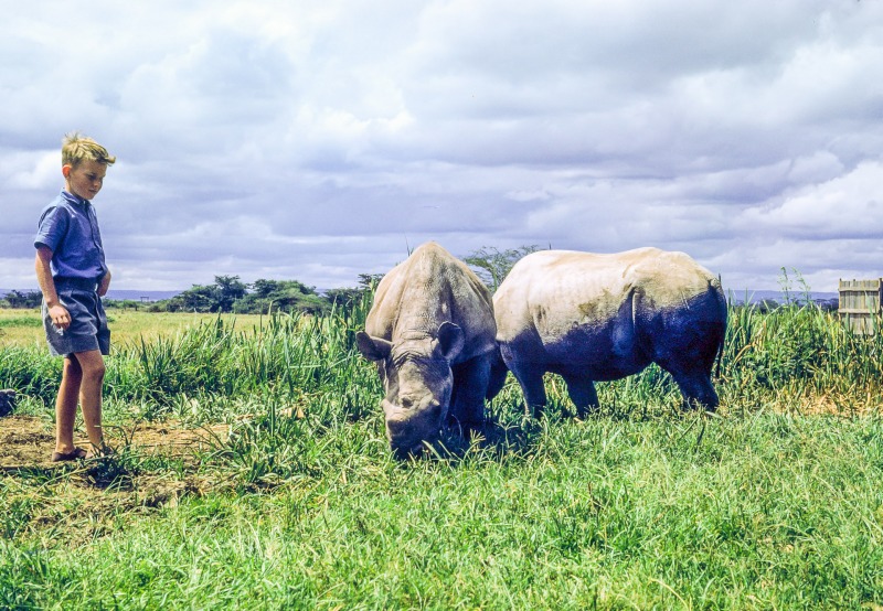 Young Rhino and Stephen - 1963