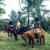 Cousins and horses