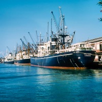 Ships at Kilindini