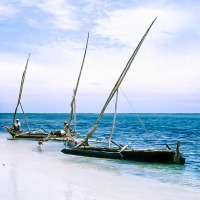 Fishing boats