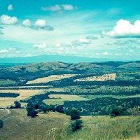 Chebororwa farm