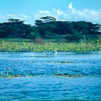 Lake Naivasha