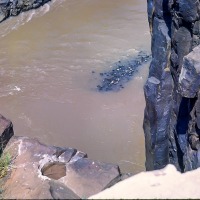 Bridge over river Kerio