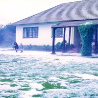 House and garden at Chebororwa in hail