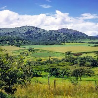 Chebororwa Farm