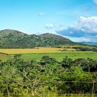 Chebororwa farm