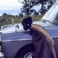 Samburu