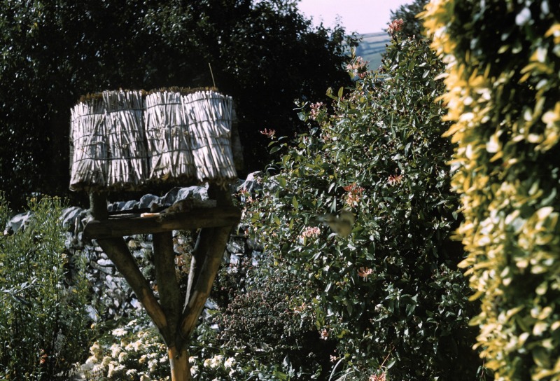 Linnington Cottage, Wambrook, Chard 1963