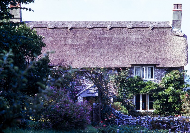 Linnington Cottage