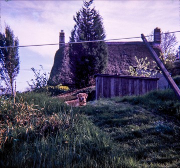 Linnington Cottage, Wambrook