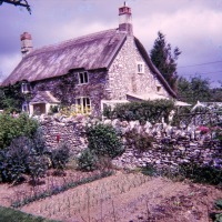 Linnington Cottage, Wambrook