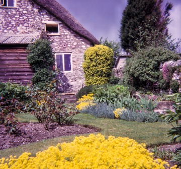 Linnington Cottage, Wambrook