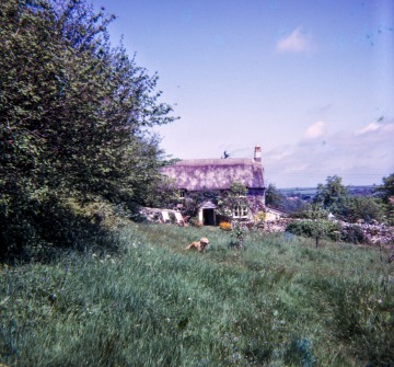 Linnington Cottage, Wambrook