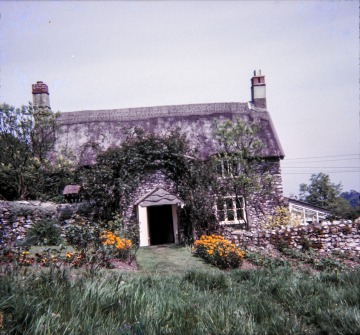 Linnington Cottage, Wambrook