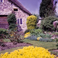 Linnington Cottage, Wambrook