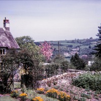 Linnington Cottage, Wambrook