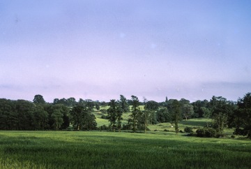 Field behind our house at Greenstead Green