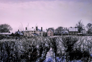 Snow at Greenstead Green