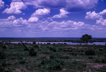 Matablee plain, 1968