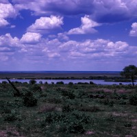 Matablee plain, 1968