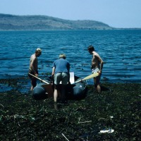 Kariba 1968