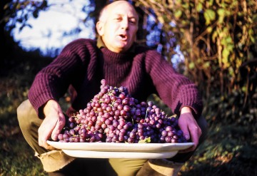 Mike, grape harvest.
