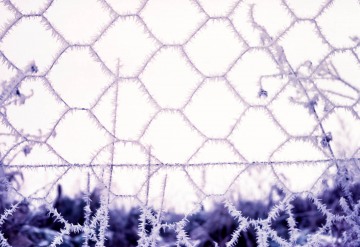 Winter frost patterns