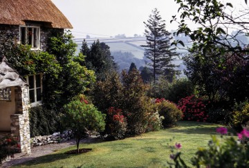 Linnington Cottage, Wambrook