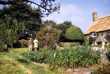 Linnington Cottage, Wambrook