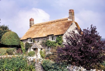 Linnington Cottage, Wambrook