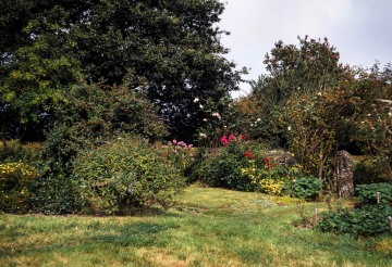 Linnington Cottage, Wambrook