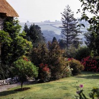 Linnington Cottage, Wambrook