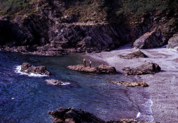 Looe