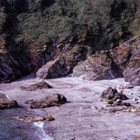Looe